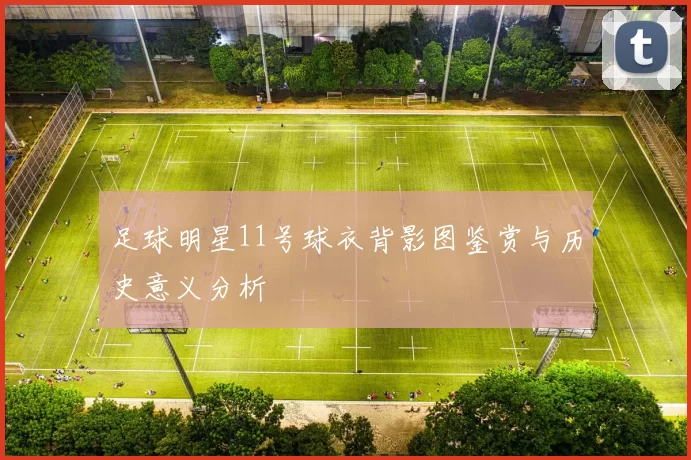 足球明星11号球衣背影图鉴赏与历史意义分析